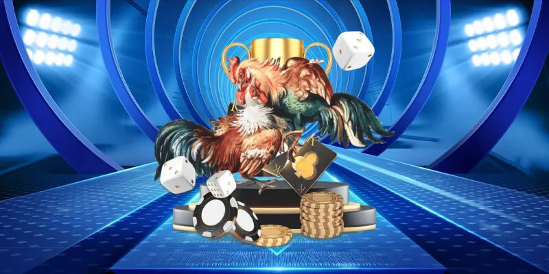 Lợi ích của việc chơi đá gà trực tuyến