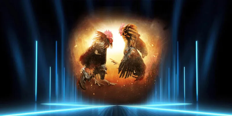 Những chiến thuật để thắng cược đá gà thomo 88ee