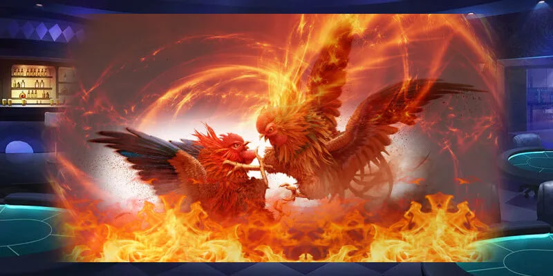 Sự phát triển của Đá gà trực tiếp tại nhà cái 88ee