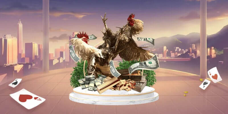 Câu hỏi thường gặp